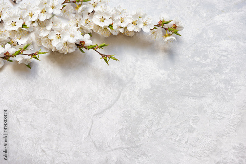 Flowering cherry branches on a marble surface