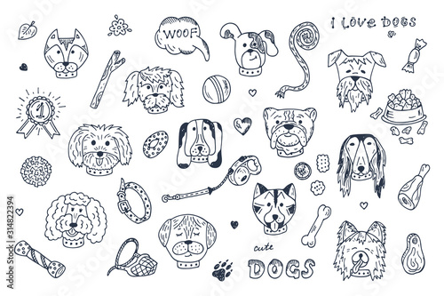 Dogs Vector Set. Dogs faces icons. Hand Drawn Doodles Dogs and accessories for pets