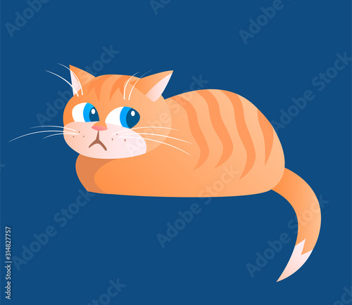 Fototapeta Naklejka Na Ścianę i Meble -  Cartoon drawing of a ginger tabby cat on a blue background