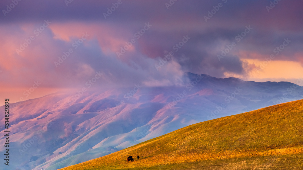 Sunset view of storm clouds covering the top of Mission Peak; cattle visible on a pasture in the foreground; San Jose, South San Francisco Bay Area