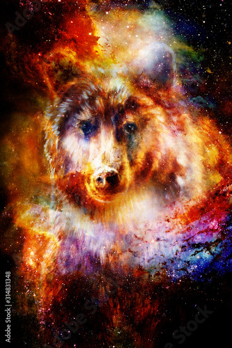 magical space wolf, multicolor computer graphic collage