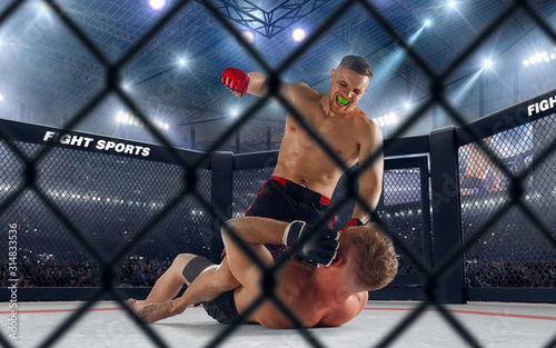 Fotografie MMA fighters on professional ring. Fighting Championship.