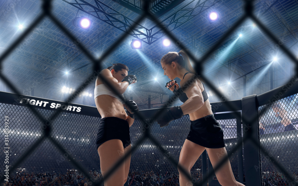 Fototapeta premium MMA female fighters on professional ring. 