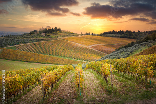 Sunset in Gaiole in Chianti with Chianti vineyards. Gaiole in Chianti, Tuscany, Italy. photo