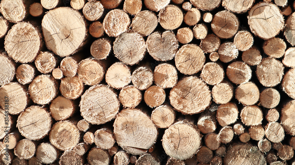 Lumber, wooden wallpaper, nature. Stack of logs. A pile of firewood nearby. Ready cuttings for the fireplace. Woodpile. Firewood for the fireplace. Forest for the winter. Background of firewood.