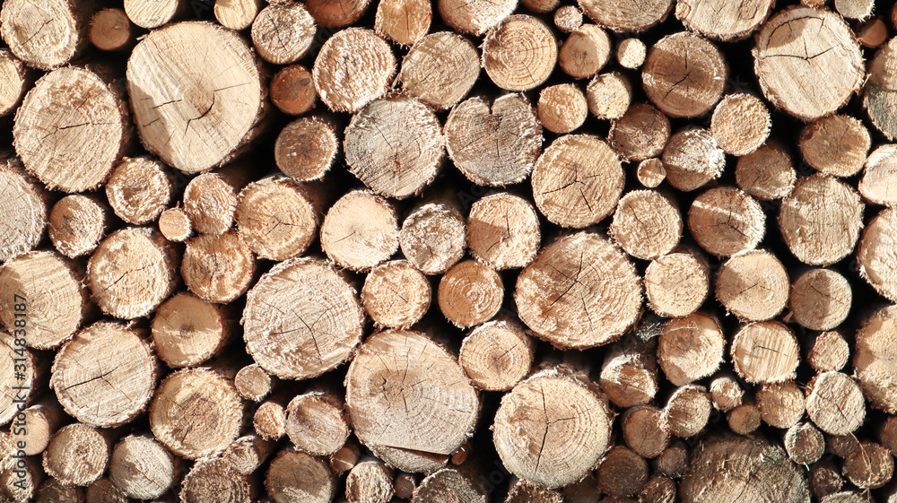 Lumber, wooden wallpaper, nature. Stack of logs. A pile of firewood nearby. Ready cuttings for the fireplace. Woodpile. Firewood for the fireplace. Forest for the winter. Background of firewood. Lumber, wooden wallpaper, nature. Stack of logs. A pile of firewood nearby. Ready cuttings for the fireplace. Woodpile. Firewood for the fireplace. Forest for the winter. Background of firewood.
