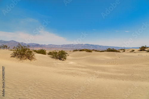 Mesquite Flat Sand Dunes in California