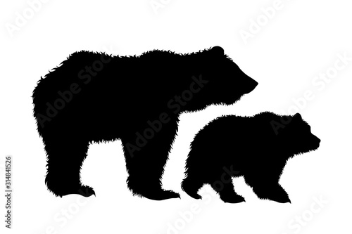 Vector silhouette of bear family on white background. Symbol of wild mother and baby stay together.