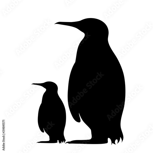 Vector silhouette of penguin family on white background. Symbol of wild mother and baby stay together.