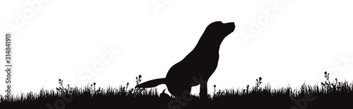 Vector silhouette of dog whos poop on white background. Symbol of pet make excrement in the park.