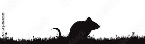 Vector silhouette of mouse on meadow on white background. Symbol of rat in the grass on the garden.