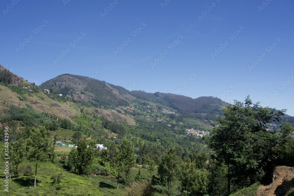 view of mountain with green trees and blue sky