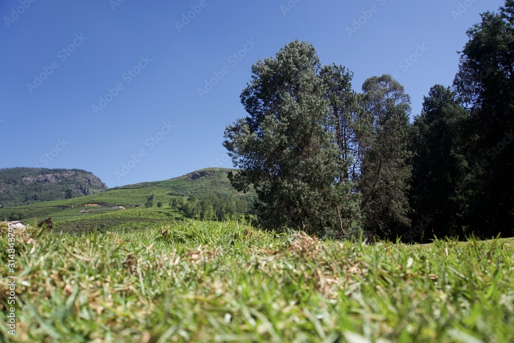 view of mountain and green trees blue sky view of mountain and green trees blue sky
