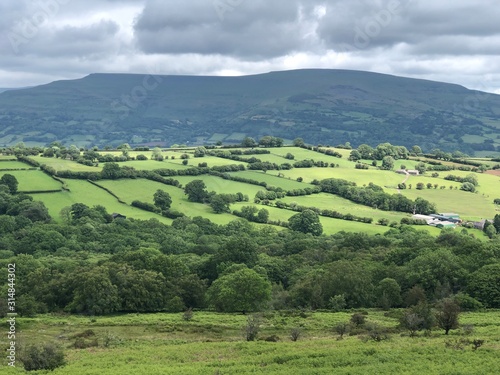 Sheep barns and drystone walls on green pasture land in Valley of the River Swale lined with trees near Gunnerside Yorkshire Dales National Park photo