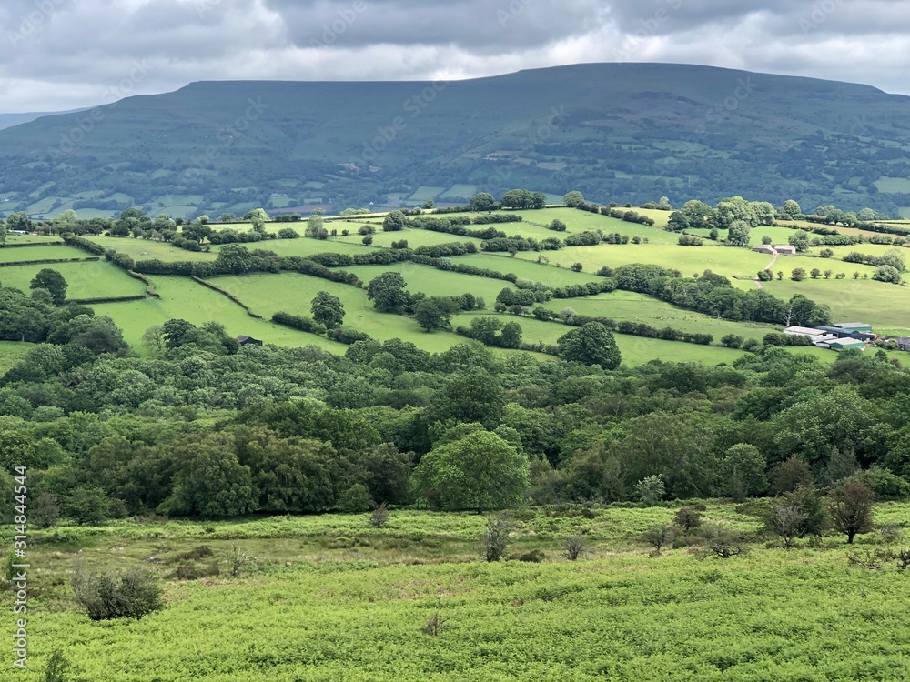 Obraz premium Sheep barns and drystone walls on green pasture land in Valley of the River Swale lined with trees near Gunnerside Yorkshire Dales National Park