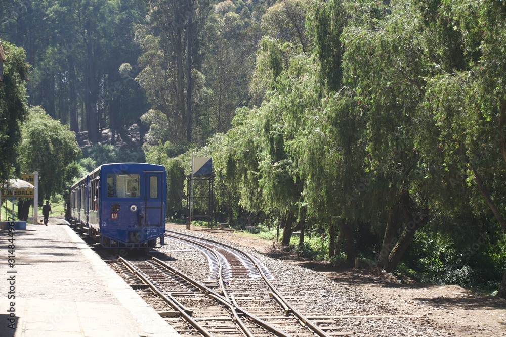 Naklejka premium Hill train with green trees and blue sky