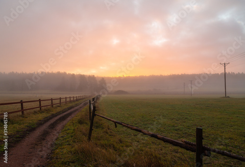 Misty sunrise over the meadow 