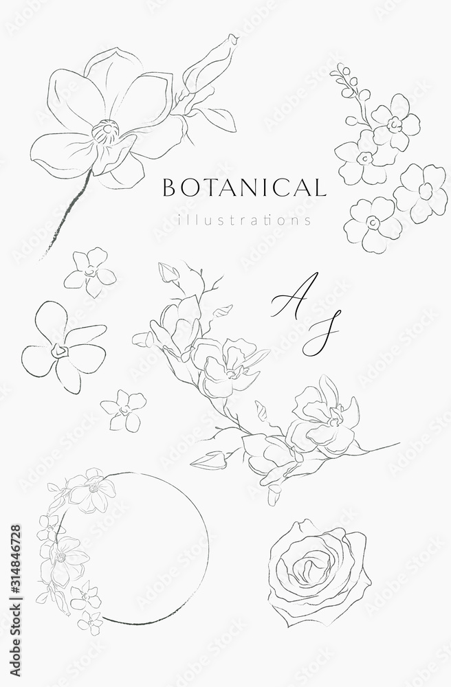 Fototapeta premium Collection of delicate line drawing vector floral wreaths frames. hand drawn delicate flowers, branches, leaves, blossom. Botanical illustration. Leaf logo. Magnolia, Forget me not, petals