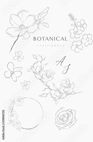 Collection of delicate line drawing vector floral wreaths frames. hand drawn delicate flowers, branches, leaves, blossom. Botanical illustration. Leaf logo. Magnolia, Forget me not, petals