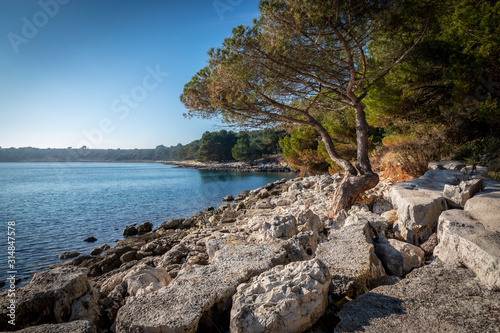 Fototapeta Naklejka Na Ścianę i Meble -  nature park kamenjak near premantura in istria, croatia