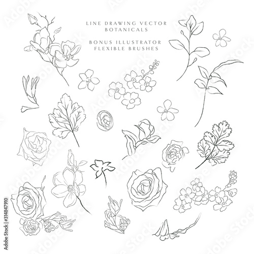Collection of delicate line art vector hand drawn delicate botanicals, plants, flowers, branches, leaves, blossom. Pencil drawing illustration. Leaf logo. Magnolia, Forget me not, petals