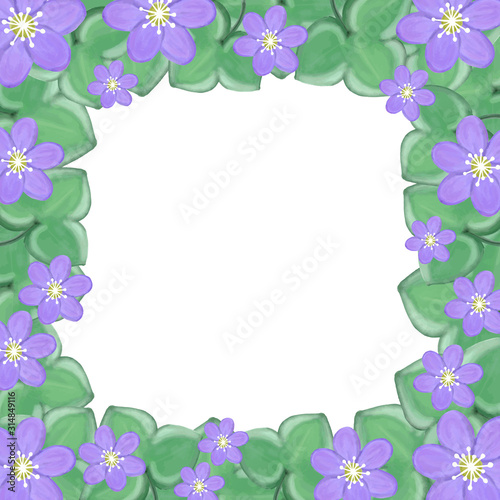 Frame watercolor blue anemone flower, vector