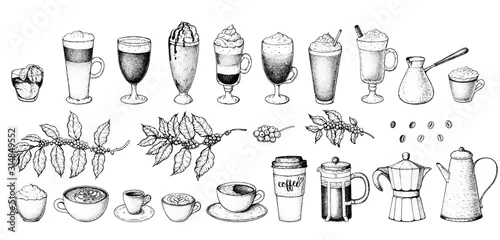 Obraz Coffee drink hand drawn collection. Sketch graphic elements for menu design. Vintage vector illustration. Various coffee drinks set. Coffee cups, beans and coffee makers illustration.