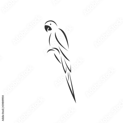 Vector of a parrot icon to animal Black and White Logo  Sign  Design. symbol. Illustrator. on white background
