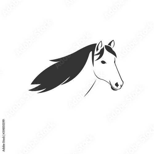 Vector of horse head  icon to animal Black and White Logo  Sign  Design. symbol. Illustrator. on white background