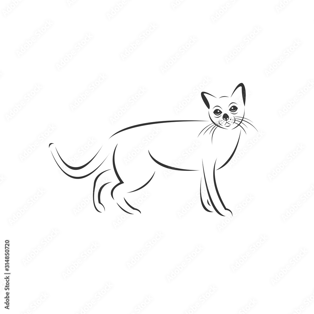 Vector of a cat icon to animal Black and White Logo, Sign, Design. symbol. Illustrator. on white background