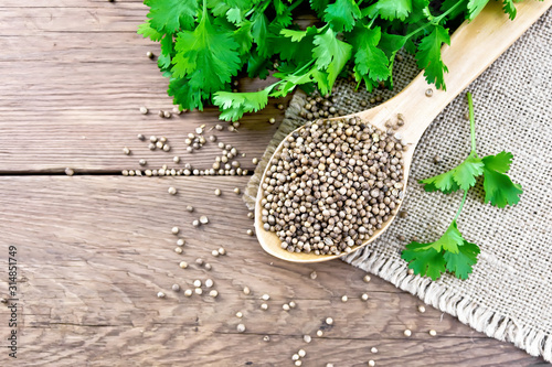 Coriander seeds in wooden spoon on board top