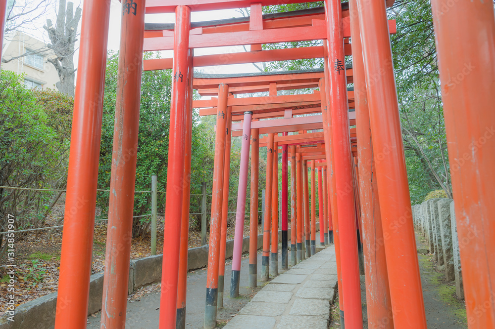 東京都文京区根津にある神社の朱色の千本鳥居