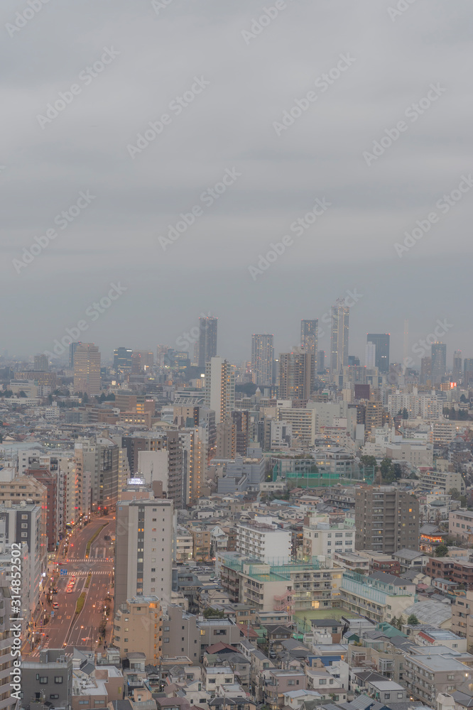東京都文京区後楽園から見る曇りの日の東京の夕景
