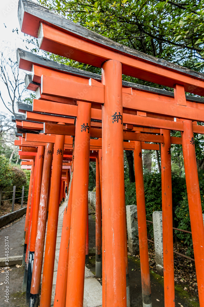 東京都文京区根津にある神社の朱色の千本鳥居