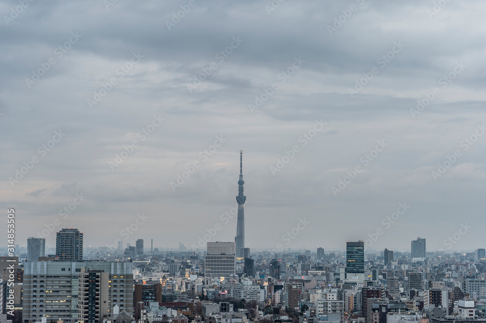 曇りの日の東京都文京区後楽園から見た東京の夕景