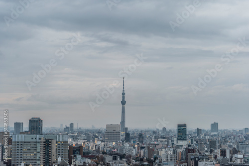 曇りの日の東京都文京区後楽園から見た東京の夕景