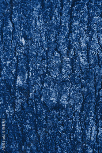 Tree bark texture classic blue color. Tree bark texture full frame in nature. Monochrome background. Trendy colour 2020.