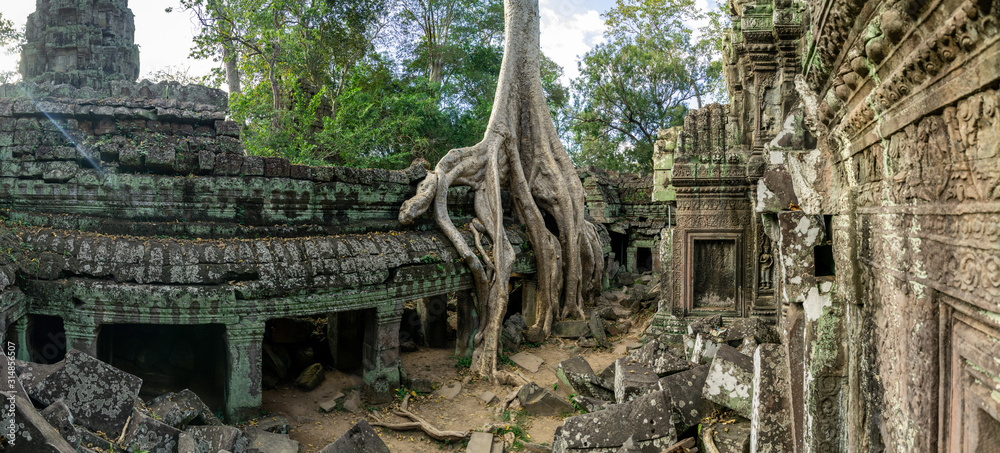Fototapeta premium Ta Prohm Temple Siem Reap Cambodia