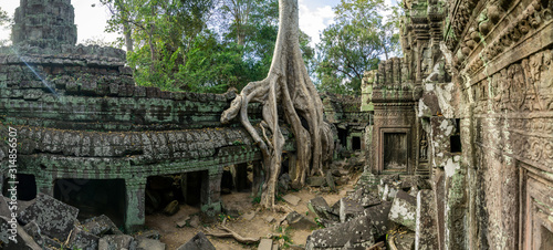 Ta Prohm Temple Siem Reap Cambodia