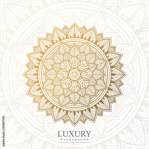 background ornament premium design