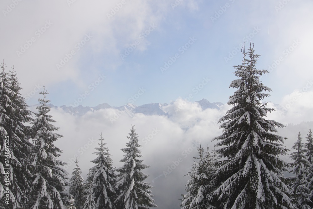 Verschneite Winterlandschaft in den Allgäuer Alpen