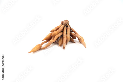 Finger root, a kind of medicinal and culinary herb from China and Southeast Asia, isolated on white background.