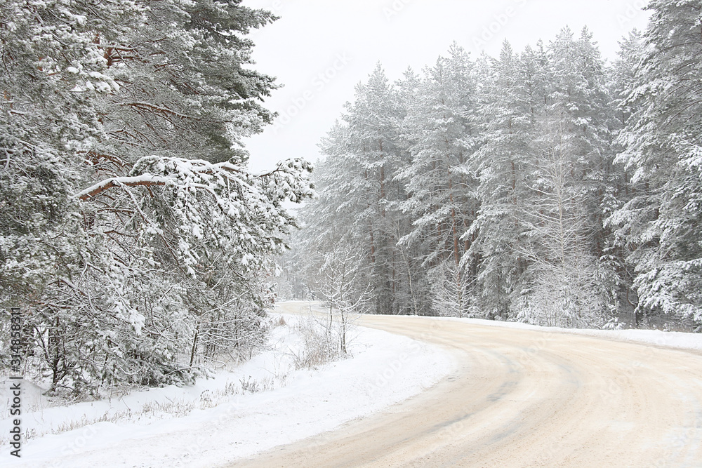 Obraz premium The road in the forest among the trees with snow on the branches