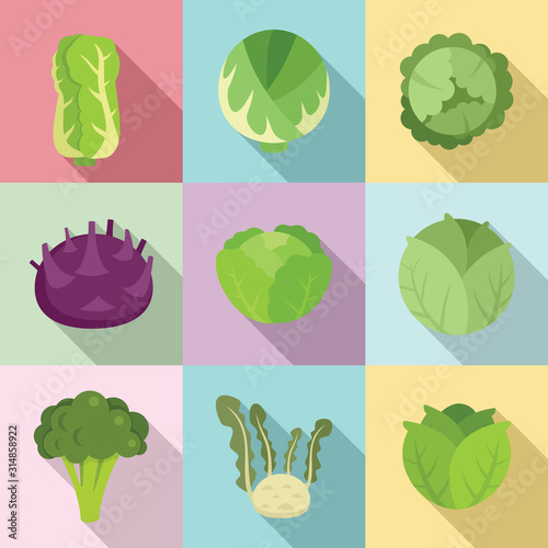 Cabbage icons set. Flat set of cabbage vector icons for web design