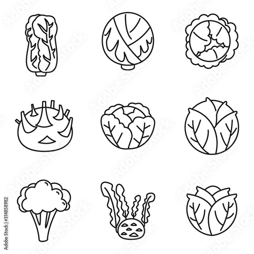 Agriculture cabbage icons set. Outline set of agriculture cabbage vector icons for web design isolated on white background