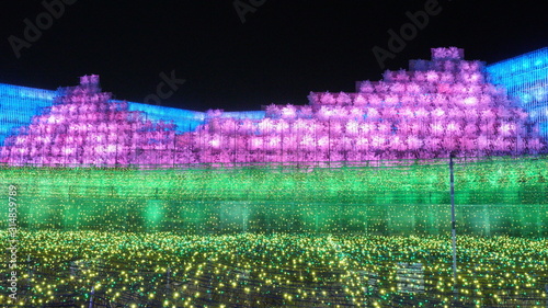 なばなの里イルミネーション2020