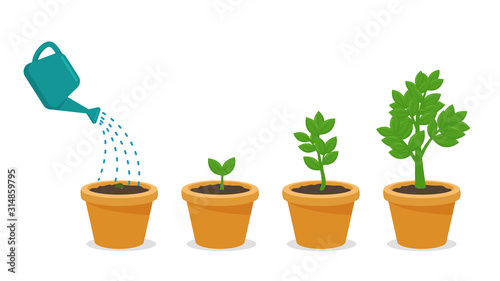 Seeds that receive complete soil and water are growing in a pot plant. Business growth concept