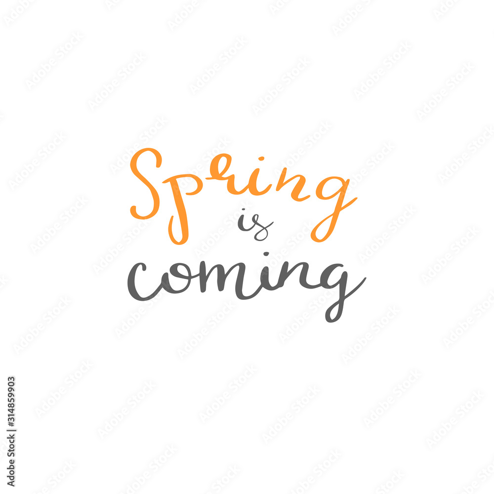 Fototapeta premium Hand written Spring is comong phrases in color. Greeting card text templates. Hello Spring lettering in modern calligraphy style. Spring wording. Brush Pen lettering Spring is comong.