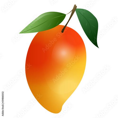 Mango fruit icon. Cartoon of mango fruit vector icon for web design isolated on white background