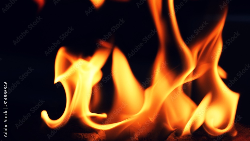Fire, flames on a black background isolate. Concept fire grill heat weekend barbecue, Flame heat fire abstract background black background. Dangerous concept Fire, flames on a black background isolate. Concept fire grill heat weekend barbecue, Flame heat fire abstract background black background. Dangerous concept